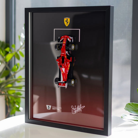 Ferrari Formula 1 car model in a black frame on a white table with plants in the background